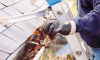 Gutter Cleaning in Aurora CO Gutter Cleaning Services in Aurora CO Cheap Gutter Cleaning in Aurora CO Cheap Gutter Services in Aurora CO Quality Gutter Cleaning in Aurora CO Gutter Cleaning in CO Aurora Gutter Cleaning Services in Aurora CO Gutter Cleaning Services in CO Aurora Gutter Cleaning in CO Aurora Clean the gutters in Aurora CO Clean gutters in CO Aurora Gutter cleaners in Aurora CO Gutter cleaners in CO Aurora Gutter cleaner in Aurora CO Gutter cleaner in CO Aurora Affordable Gutter Cleaning in Aurora CO Cheap Gutter Cleaning in Aurora CO Affordable Gutter Services in Aurora CO